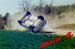 clip0004