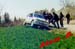 clip0005